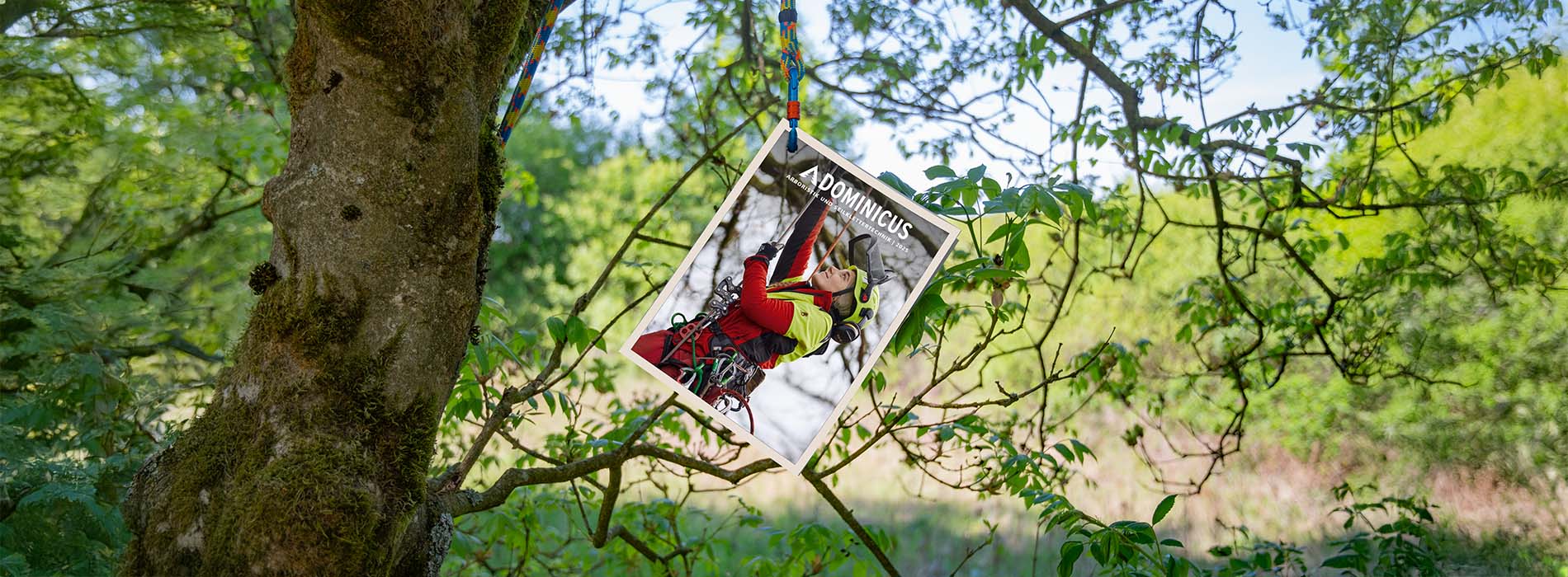 ein Katalog hängt an einem Baum