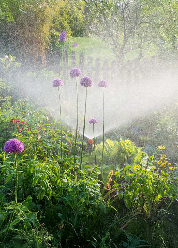 ein Garten wird bewässert